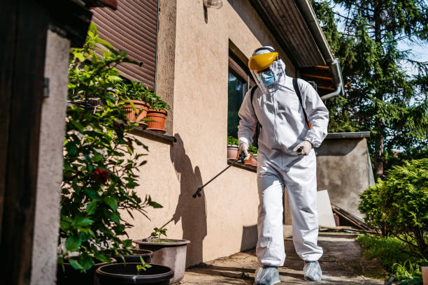 Best Local Pest Control Services  in Marion, KY