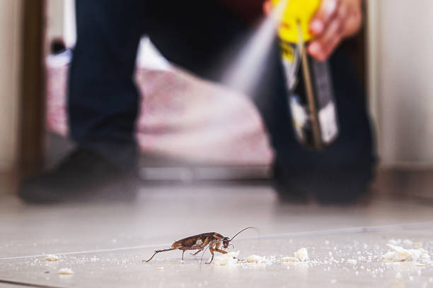 Best Cockroach Control Services  in Marion, KY